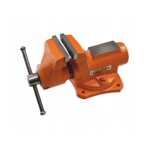Richmann Imadło ślusarskie obrotowe PROFI 125mm C8111 Richmann Imadło ślusarskie obrotowe PROFI 125mm C8111